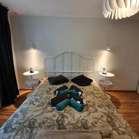 Apartment Vilnis *